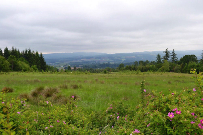 View of Chehalem Mountains